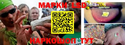ПСИЛОЦИБИНОВЫЕ ГРИБЫ Кандалакша