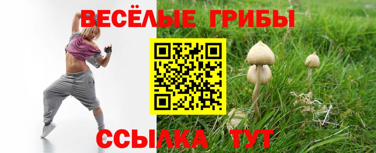 Псилоцибиновые грибы MAGIC MUSHROOMS  Вход с VPN  Кострома 